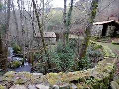 DSCN0122 DSCN0122