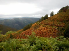 DSCN9982 DSCN9982