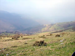 DSCN8144 DSCN8144