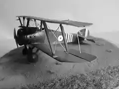 fin sopwith 2 075