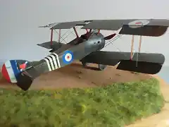 fin sopwith 2 065