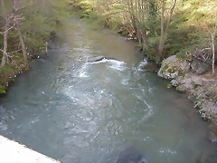 DSCN8637