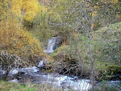 DSCN6119 DSCN6119