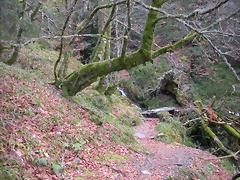 DSCN0680 DSCN0680