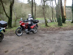 IMG_2352 IMG_2352