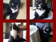 monchito2