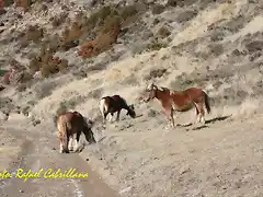 tyw pueblos abandonados (3)