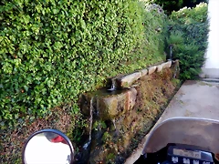 DSCN7515 DSCN7515