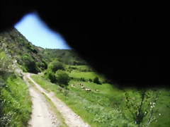 DSCF2481 DSCF2481
