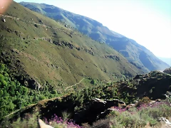 DSCF2696 DSCF2696