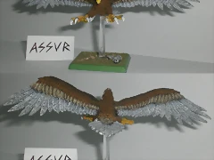 aguila2