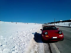 IMG_20131128_133952 IMG_20131128_133952