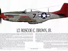 print_P-51D_R.Brown