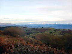 DSCN9517 DSCN9517