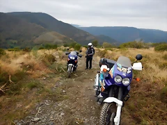 DSCN9884 DSCN9884