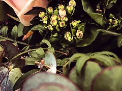 Mar?a IG 14-4-2018 (2) Mar?a IG 14-4-2018 (2)