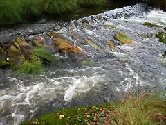 DSCN5773 DSCN5773