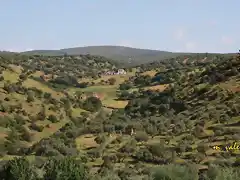 006, cortijo de Roa desde abenazar, marca