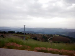 DSCN6503 DSCN6503