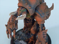 SDC10826 SDC10826