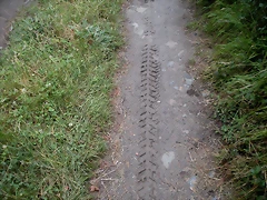 DSCN4746 DSCN4746
