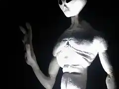 ufo 3 torso