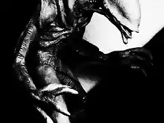 alien !1