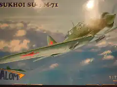 Su-6 M71 002