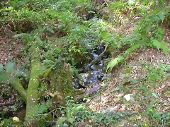 DSCN7526 DSCN7526