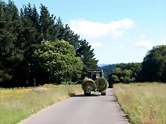 DSCN6740 DSCN6740