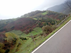 DSCN2823 DSCN2823
