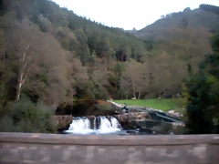 DSCN9914 DSCN9914