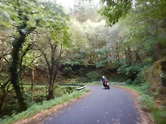 DSCN0354 DSCN0354