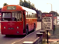 London_Transport_bus_MLL_974