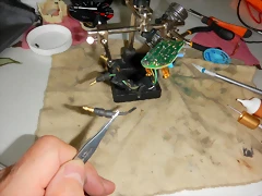 DSCN2018 DSCN2018
