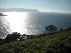 DSCN6879 DSCN6879