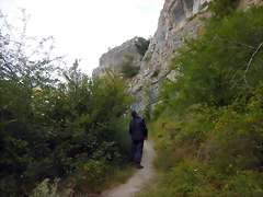 DSCN6531