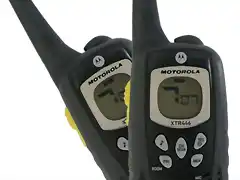 Motorola-xtr-446-high