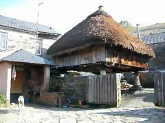 DSCN7782 DSCN7782
