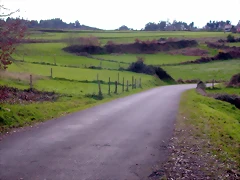 DSCN1987