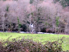DSCN2035 DSCN2035