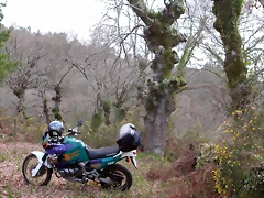 DSCN2026 DSCN2026
