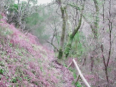 DSCN2062 DSCN2062