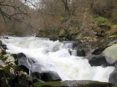 DSCN2066 DSCN2066