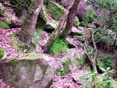 DSCN2071 DSCN2071
