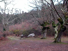 DSCN2025 DSCN2025