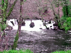 DSCN2048 DSCN2048