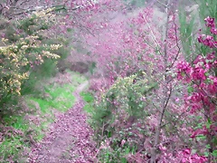 DSCN2058 DSCN2058