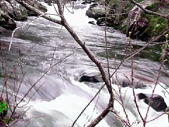 DSCN2070 DSCN2070