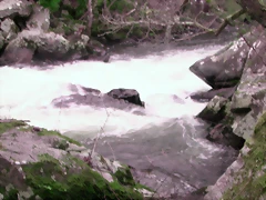 DSCN2081 DSCN2081